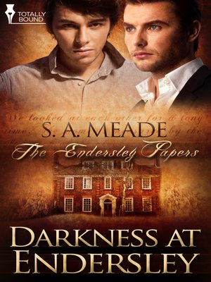 cover image of Darkness at Endersley